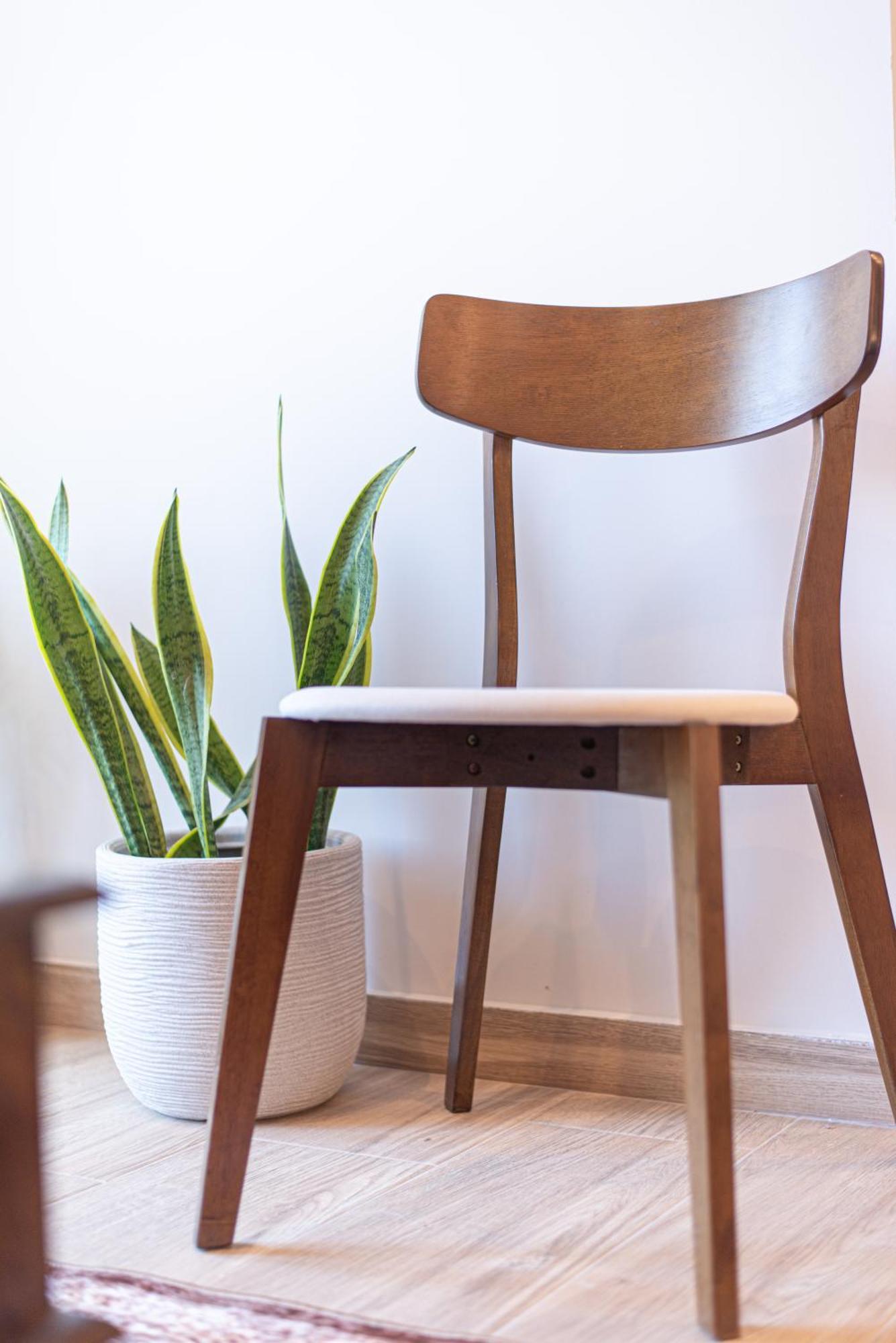 Kanela Apartment Oinofyta Eksteriør billede